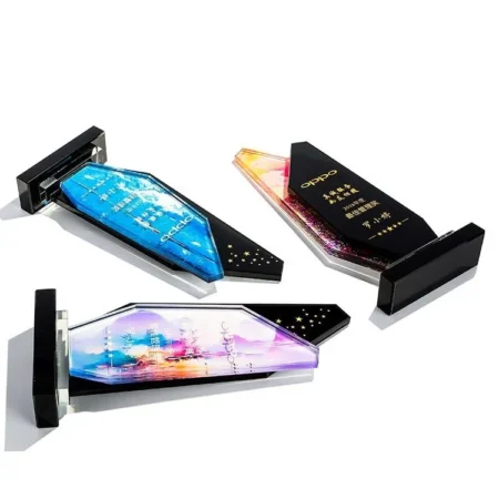 Alternative view of Cúp lưu niệm VS11