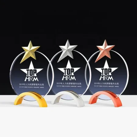 Cúp lưu niệm VS12