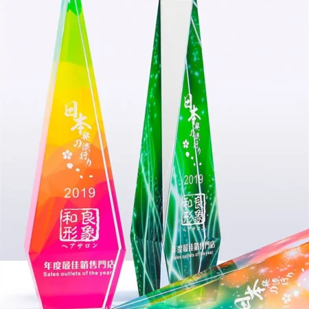 Alternative view of Cúp lưu niệm VS15