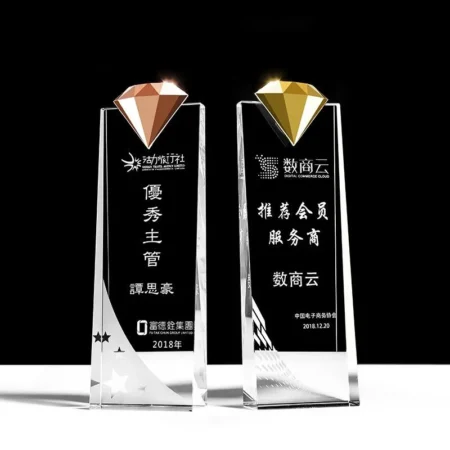 Alternative view of Cúp lưu niệm VS17