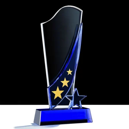 Cúp lưu niệm VS27