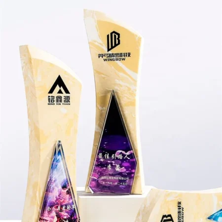 Alternative view of Cúp lưu niệm VS29