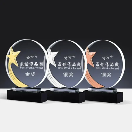 Alternative view of Cúp lưu niệm VS30