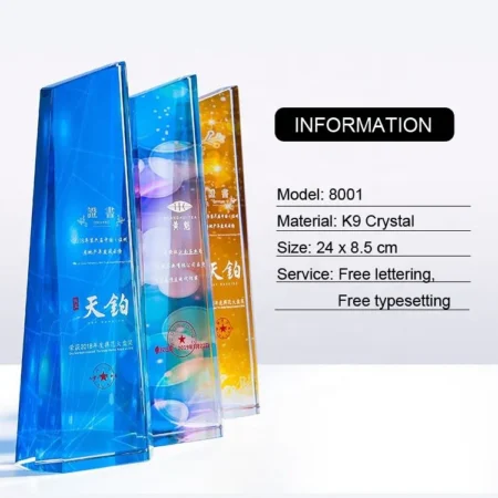 Alternative view of Cúp lưu niệm VS31