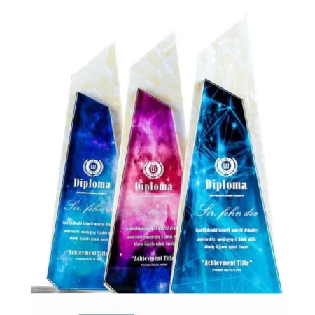 Cúp lưu niệm VS7