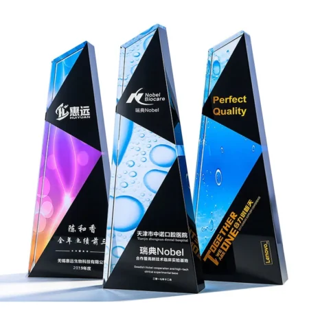 Cúp lưu niệm VS9